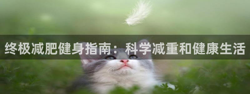 龙8国际游戏官网