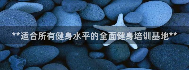 龙8国际备用