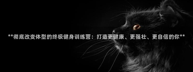 龙8国际怎么样