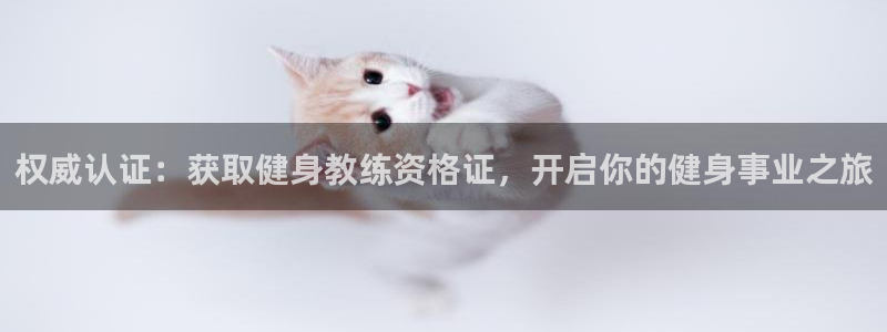 龙8国际pt官网