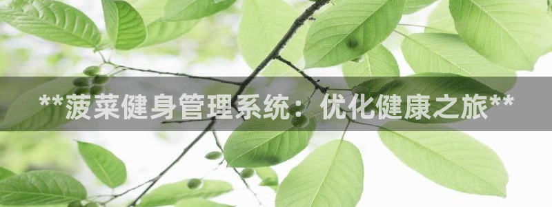 龙8老虎机手机版