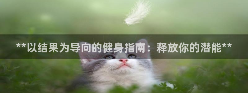 国际龙8下载