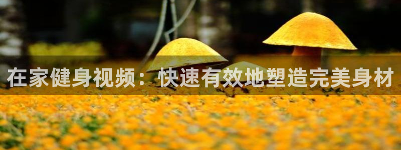 龙8国际为啥改名叫头号玩家了