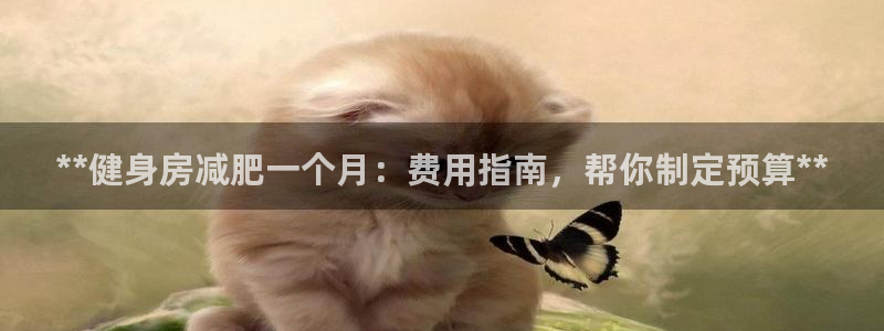 龙8国际中国官方网站