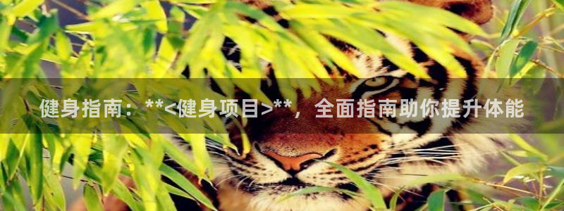 龙8国际游戏公司官网