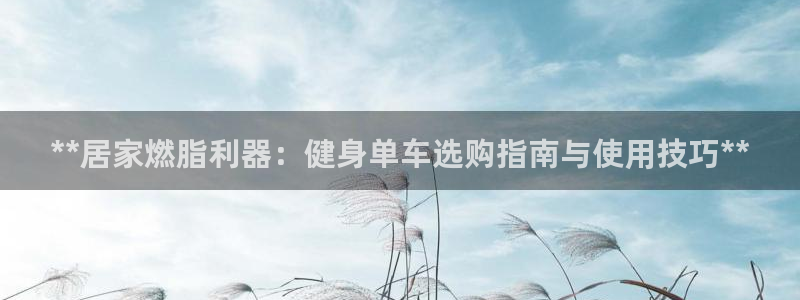 龙8国际app 下载