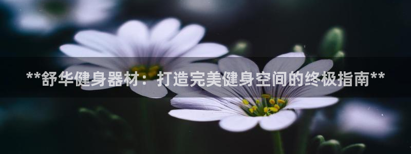 龙8娱乐国际城