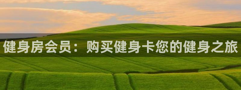 龙8国际手机版下载