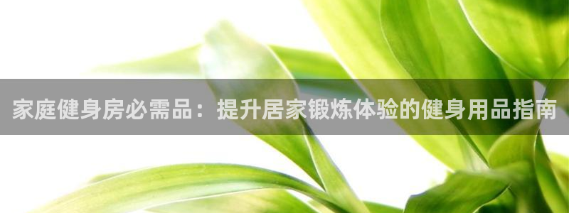 龙8国际网站怎么样
