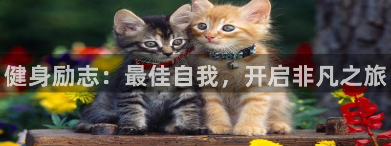 龙8游戏官方进入