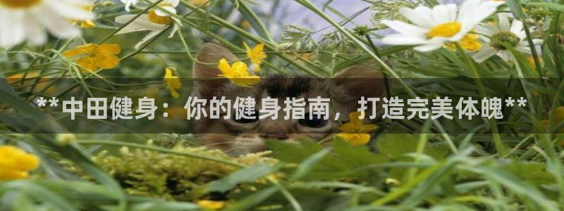 龙8国际官方下载