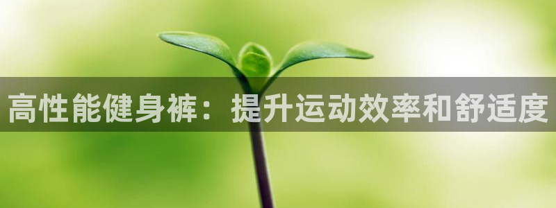 龙8国际官网首页