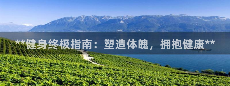 龙八国际娱乐老板是谁