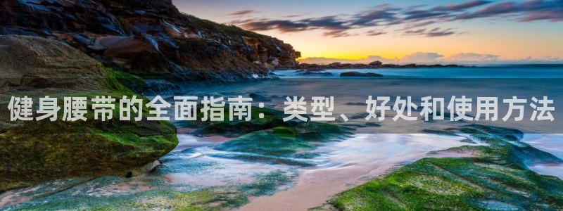 龙八国际首页
