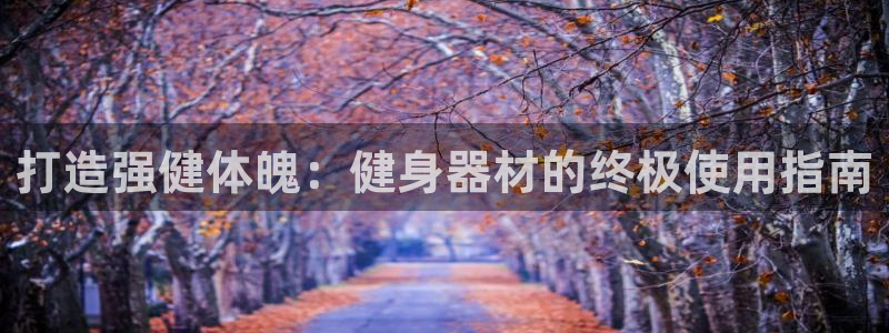 龙八国际登录密码