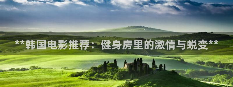龙8国际的官网
