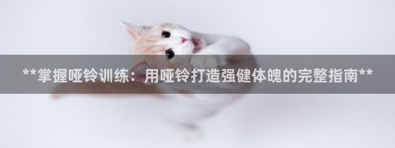 龙8官网国际