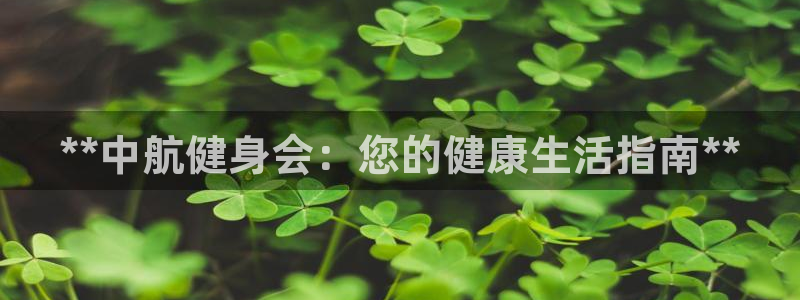 龙8游戏网站