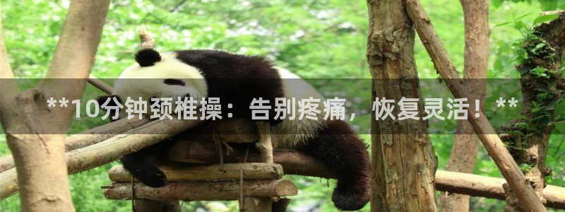 龙8 国际