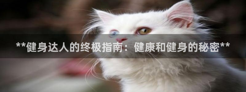 龙8国际正规吗