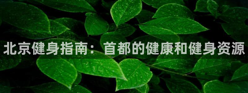 龙八国际网页