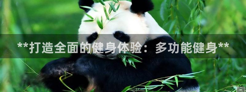 龙八国际pt