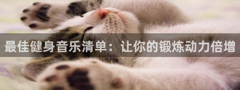 龙8国际龙8官方