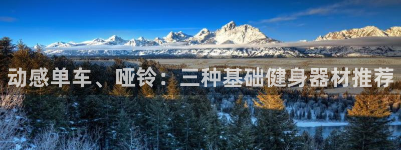 龙8国际是什么平台