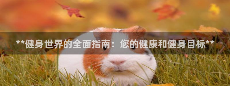 龙8游戏官方网站q