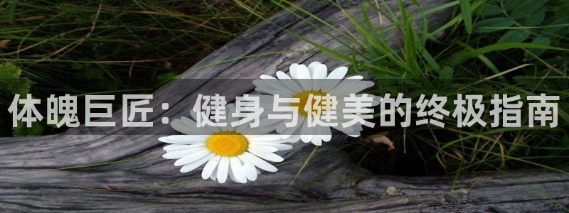 龙8国际官网唯一入口