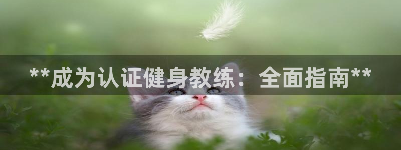 龙八国际官方网