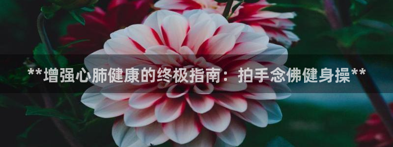 龙8国际游戏公司官网