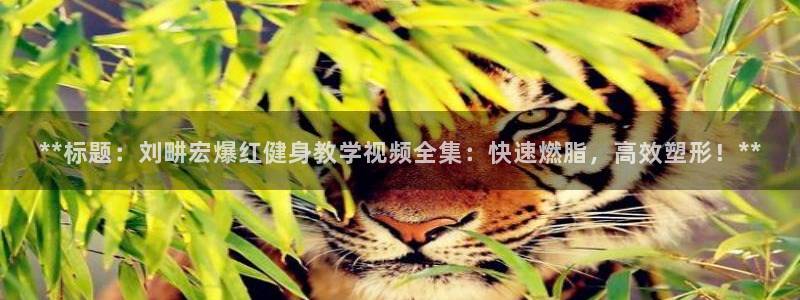龙8国际头号玩家是谁