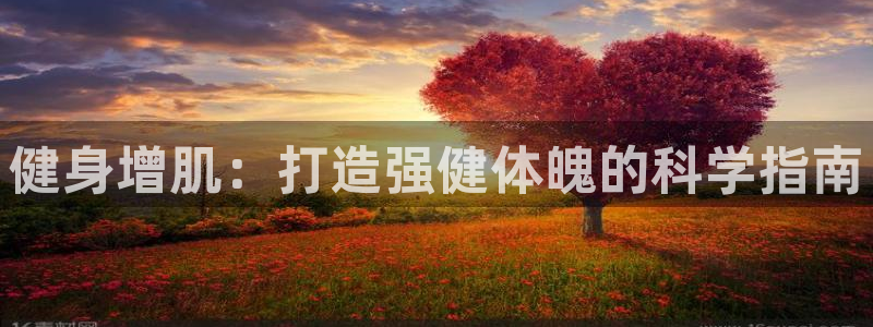 龙8游戏官方网站s