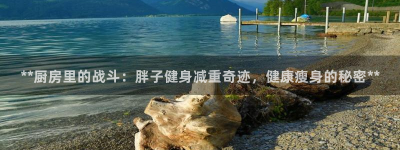 龙8国际唯一官网手游登录入口