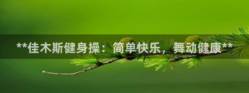龙8国际城