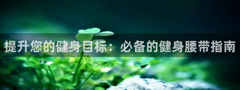 龙八国际娱乐老板是谁