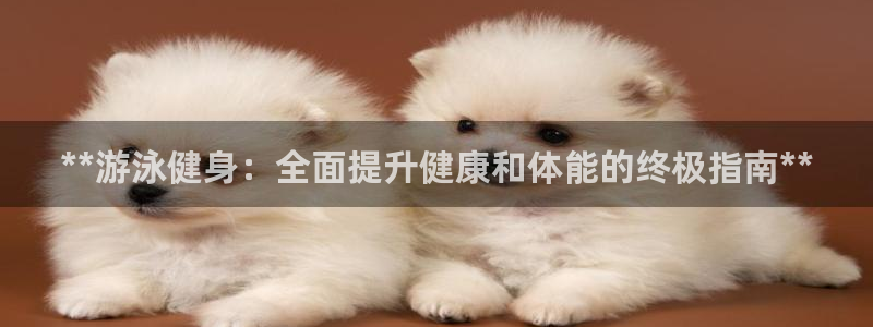 龙8国际网址是什么