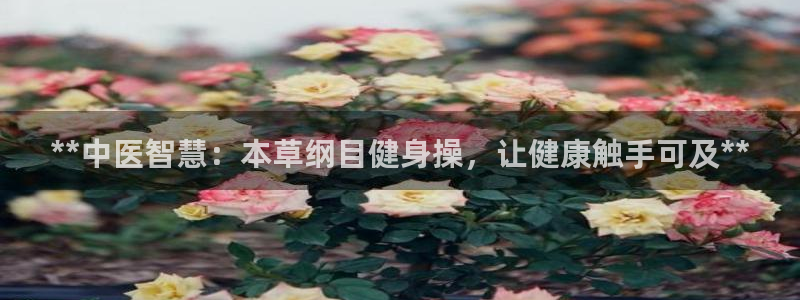 龙8国际官网官方版fxzls天地手游 -kc -安卓