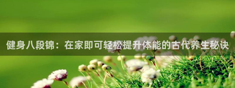 龙8国际电子平台