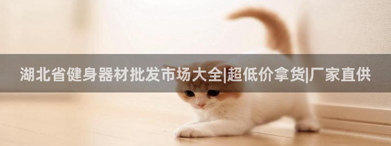 龙8手机游戏官网