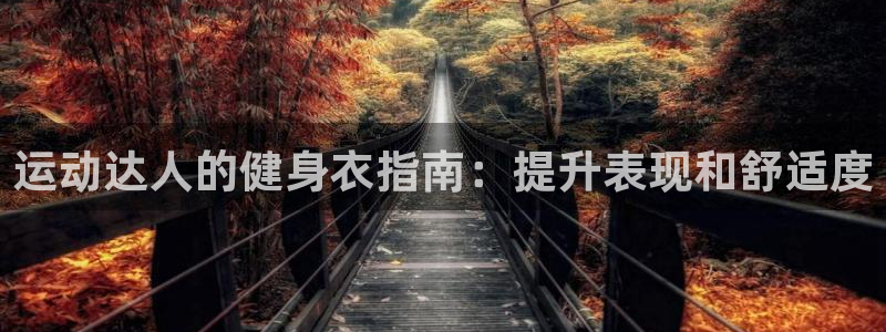 龙8国际.com