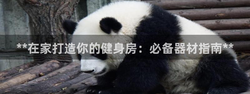 龙8国际安卓版版