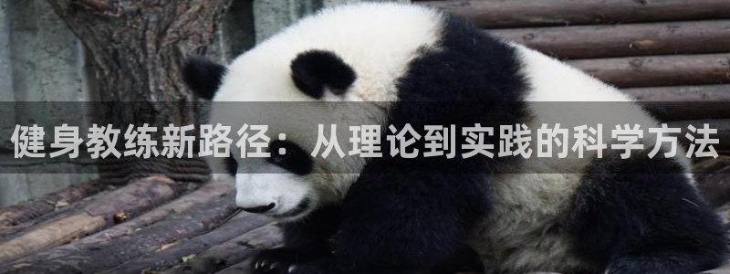 龙8国际最新官网