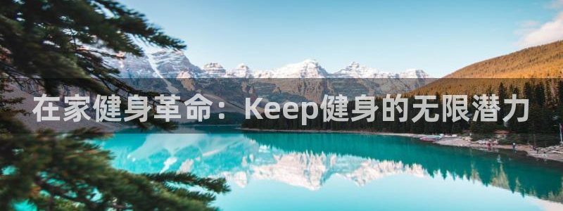 龙八国际pt