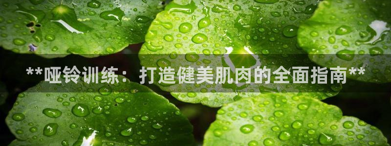 龙8国际登录网址推荐ag87253