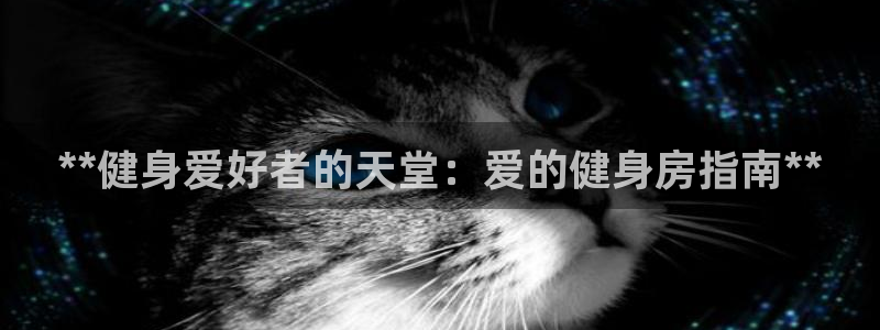 龙八国际登录