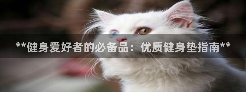 龙8国际服