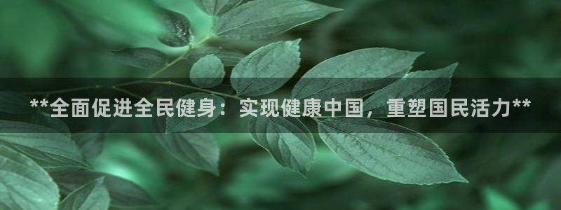 龙八国际娱乐在线游戏