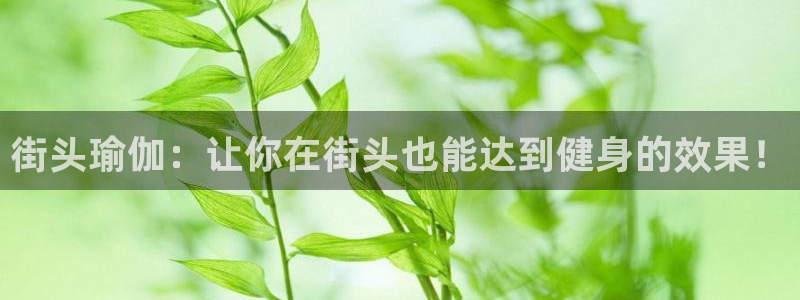龙8游戏官方网站p